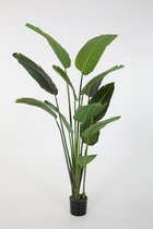 Strelitzia kunstplant - topkwaliteit plant - kamerplant - 190 cm