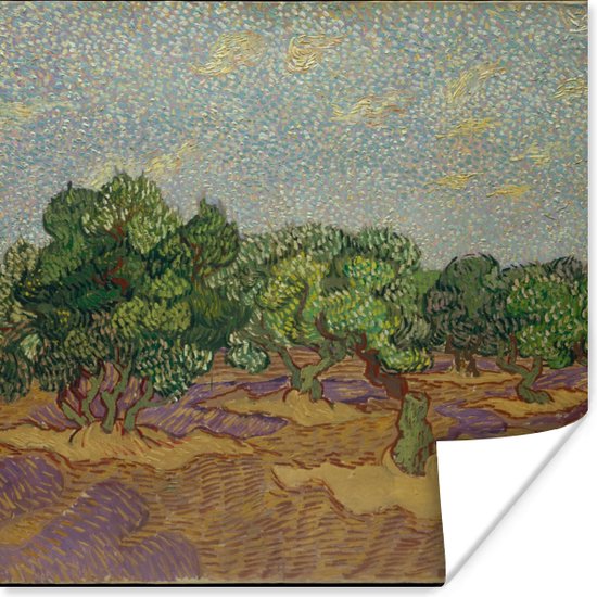 Poster Olijfbomen - Vincent van Gogh - 50x50 cm