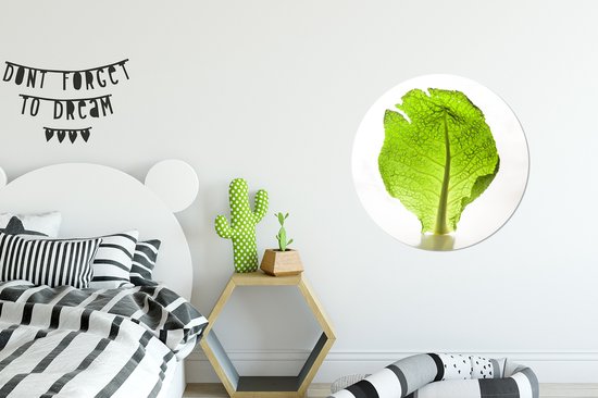 WallCircle - Wandcirkel ⌀ 60 - Doorzichtige sla tegen een witte achtergrond - Ronde schilderijen woonkamer - Wandbord rond - Muurdecoratie cirkel - Kamer decoratie binnen - Wanddecoratie muurcirkel - Woonaccessoires