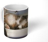 Mok - Kat - Wasbak - Badkamer - 350 ML - Beker