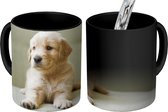Magische Mok - Foto op Warmte Mokken - Koffiemok - Golden Retriever puppy liggend op de bank - Magic Mok - Beker - 350 ML - Theemok