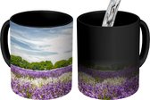Magische Mok - Foto op Warmte Mok - Paarse en witte lavendel in bloem in veld - 350 ML