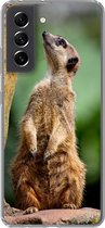 Coque Samsung Galaxy S21 FE - Suricate - Animal - Roche - Siliconen