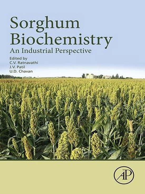 Sorghum Biochemistry - cover