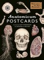 Anatomicum Postcard Box