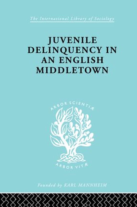 Juvenile Delinquency in an English Middle Town - cover