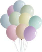 Ballonnenset Pastelkleuren (10 stuks / 30 CM)