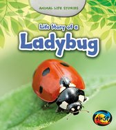 Animal Life Stories - Life Story of a Ladybug
