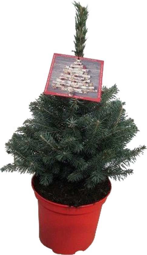 Plantenrek - Opvouwbaar Design - Metaal - Bruin