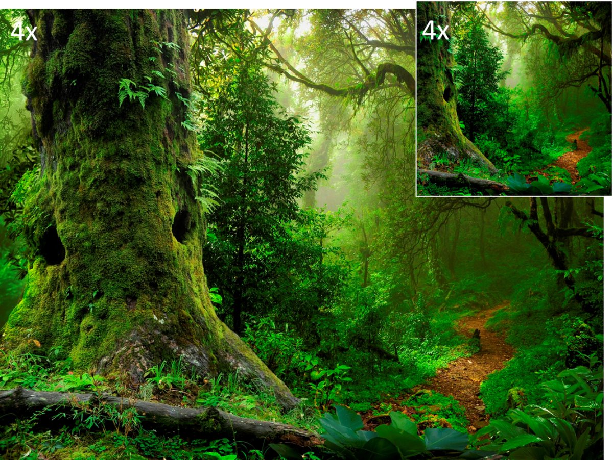 Celtic Tree - Set Placemats en Onderzetters - Boslandschap met pad - Groen - Pagan - Heidens - Magisch - Tafel - Tafeldecoratie - Eten - Placemat - Onderzetter