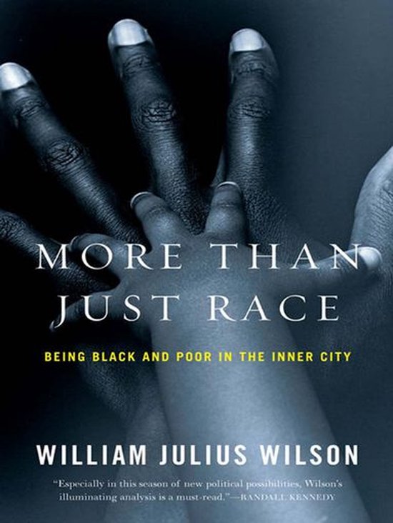 More Than Just Race - cover
