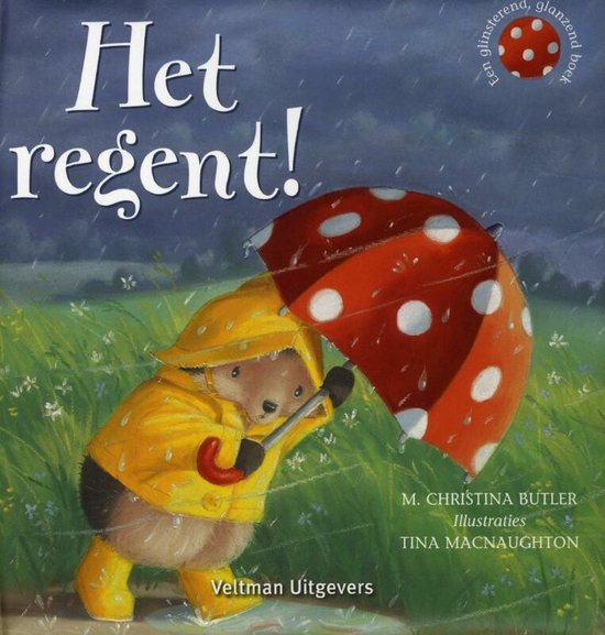 Cover van het boek 'Het regent !'