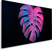 Schilderij - Kleurrijk Monstera blad, Premium Print, 5 maten