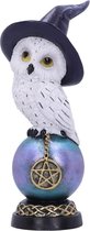 Nemesis Now Beeld/figuur Owl's Charm Uil Multicolours