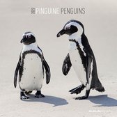 Pinguine 2022 30x30