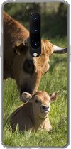 Geschikt voor OnePlus 7 Pro hoesje - Koe - Gras - Hoorn - Kalf - Siliconen Telefoonhoesje