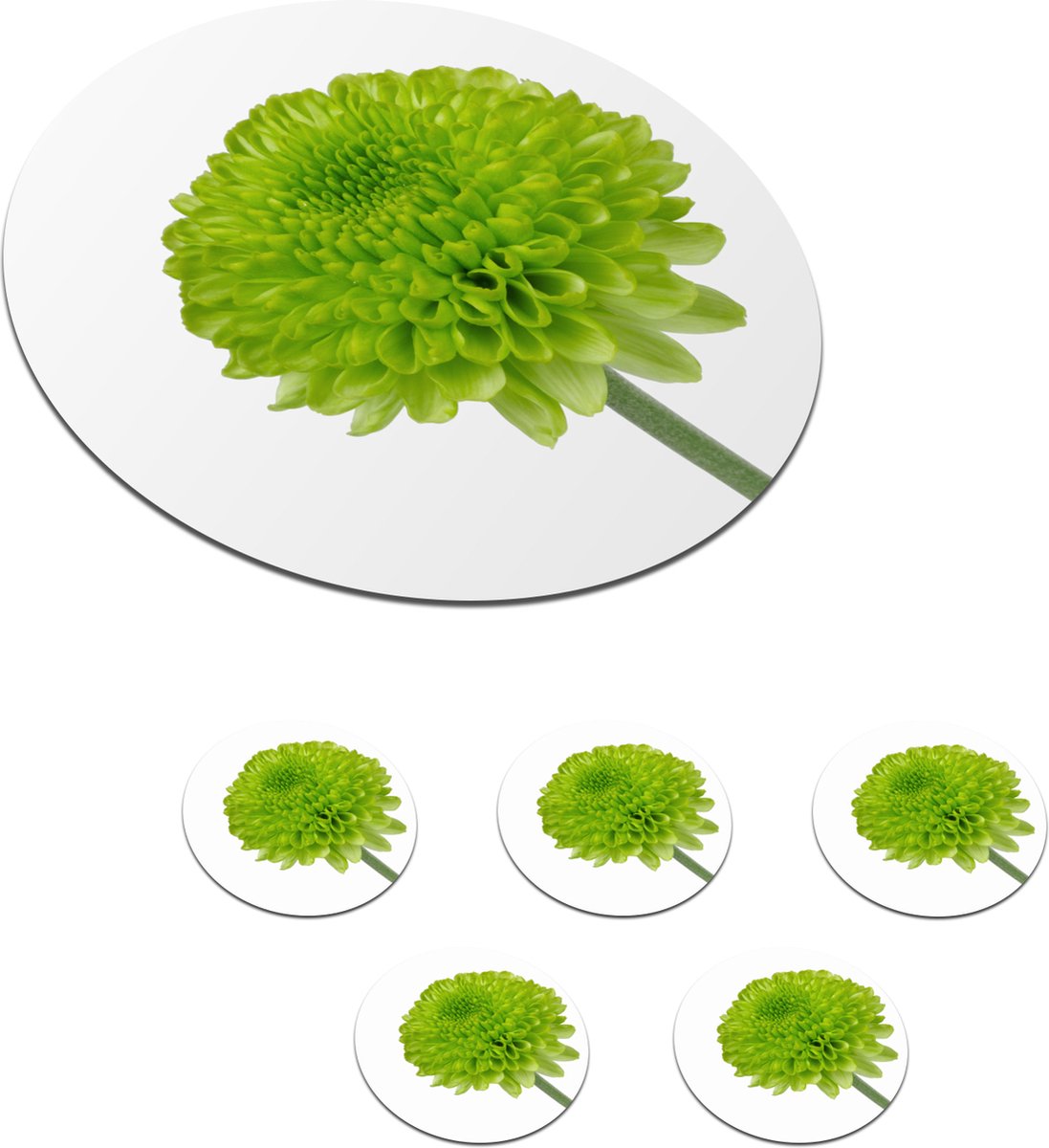 Onderzetters voor glazen - Rond - Groene chrysant - 10x10 cm - Glasonderzetters - 6 stuks