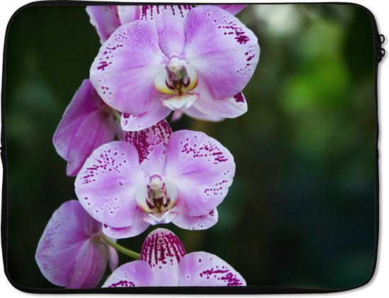 Housse ordinateur 17 pouces - Orchidées en fleurs - Housse ordinateur - Dimensions intérieures 42,5x30 cm - Dos noir