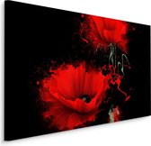 Schilderij - Rode klaprozen, zwarte achtergrond, premium print