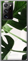 6F hoesje - geschikt voor Samsung Galaxy Note 20 Ultra -  Transparant TPU Case - Tropical Plants #ffffff