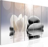 Schilderij - Pebbles in Water (5 Parts) Narrow.