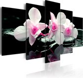 Schilderij - Rest of orchids.