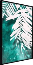 White Palm on Teal Background