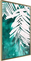 White Palm on Teal Background