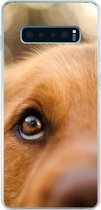 Geschikt voor Samsung Galaxy S10 Plus hoesje - De twinkeling in het oog van de Golden Retriever - Siliconen Telefoonhoesje