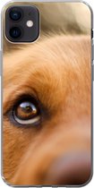Geschikt voor iPhone 12 mini hoesje - De twinkeling in het oog van de Golden Retriever - Siliconen Telefoonhoesje