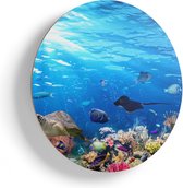 Artaza Houten Muurcirkel - Vissen met Koraalrif Onder Water - Ø 60 cm - Multiplex Wandcirkel - Rond Schilderij