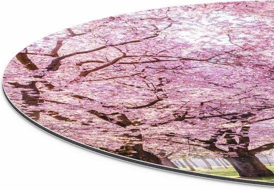 Artaza Dibond Wall Circle - Pink Blossom Tree Park - Fleurs - Ø 90 cm - Groot - Wall Circle - Tableau Rond - Pour Intérieur et Extérieur