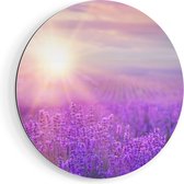 Artaza Dibond Cercle Mural Champ De Fleurs Avec Lavande Violette - Ø 90 cm - Groot - Cercle Mural - Tableau Rond - Pour Intérieur et Extérieur