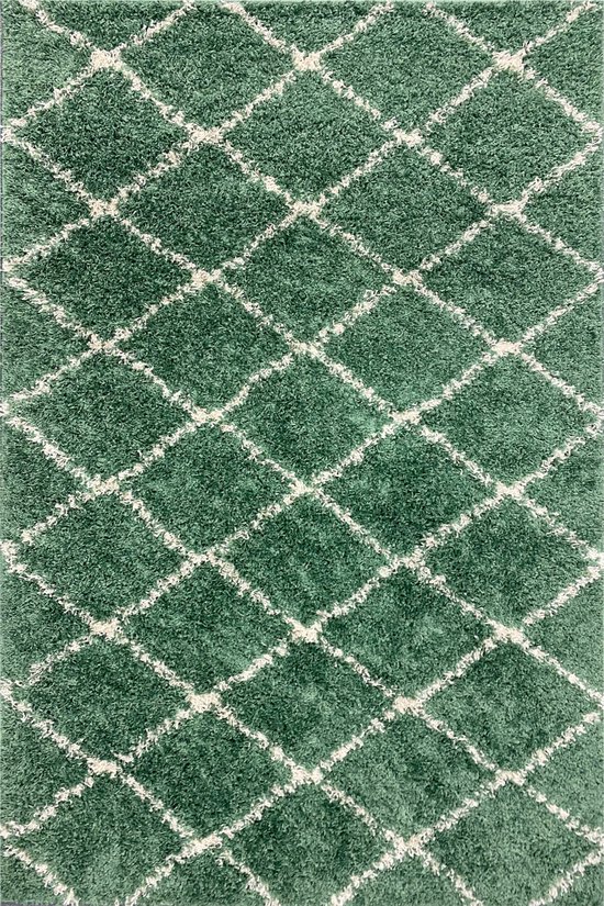 Uitbreiding Mexico aspect Aledin Carpets Laredo - Hoogpolig - Vloerkleed 160x230 cm - Shaggy - Groen  - Wit -... | bol.com