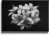 Walljar - Boeket Plumeria Bloemen - Muurdecoratie - Canvas schilderij