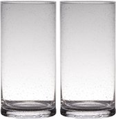 Set van 2x stuks transparante home-basics Cylinder vorm vazen van bubbel glas 30 x 15 cm - Bloemen/takken vaas voor binnen gebruik
