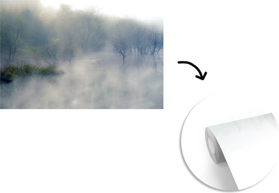 Behang - Fotobehang Redwood forest ingesloten door een dichte mist - Breedte 600 cm x hoogte 400 cm