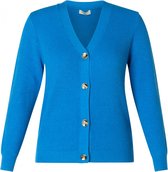 IVY BEAU Rochelle Trui - Blue - maat 40