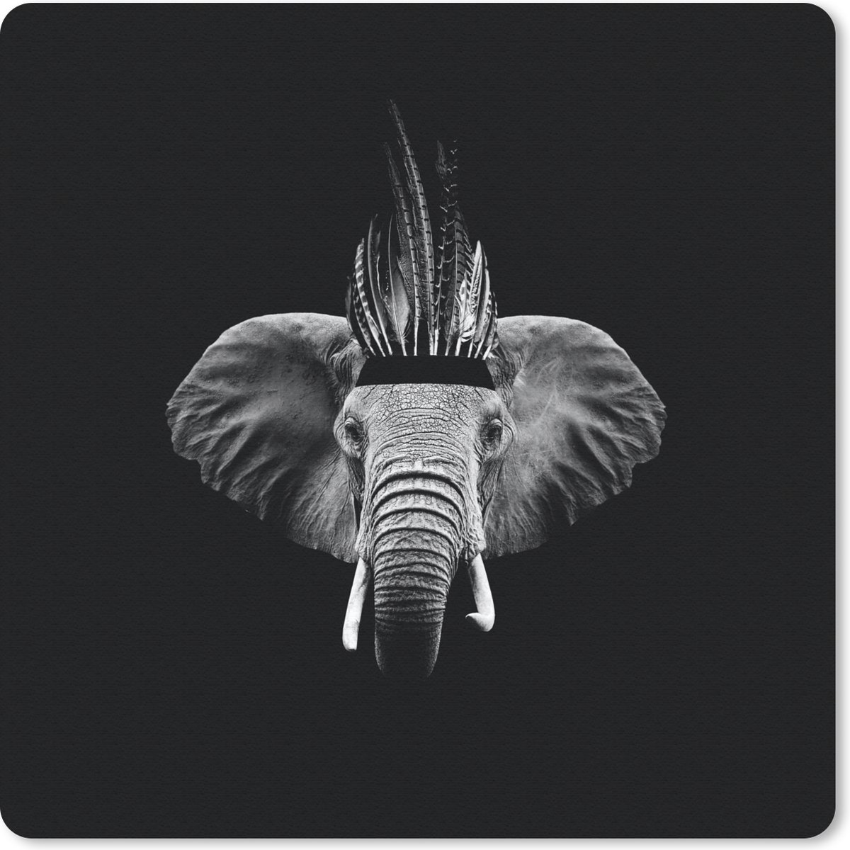 Muismat 30x30 cm - Mousepad Olifant - Veren - Hoed - Zwart - Wit - Muismatten