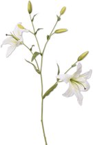 Viv! Home Luxuries Lelie - zijden bloem - groot - wit - 115cm - topkwaliteit