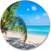 Tropisch strand met palmboom - Muurcirkel Forex 50cm - Wandcirkel voor binnen - Natuur