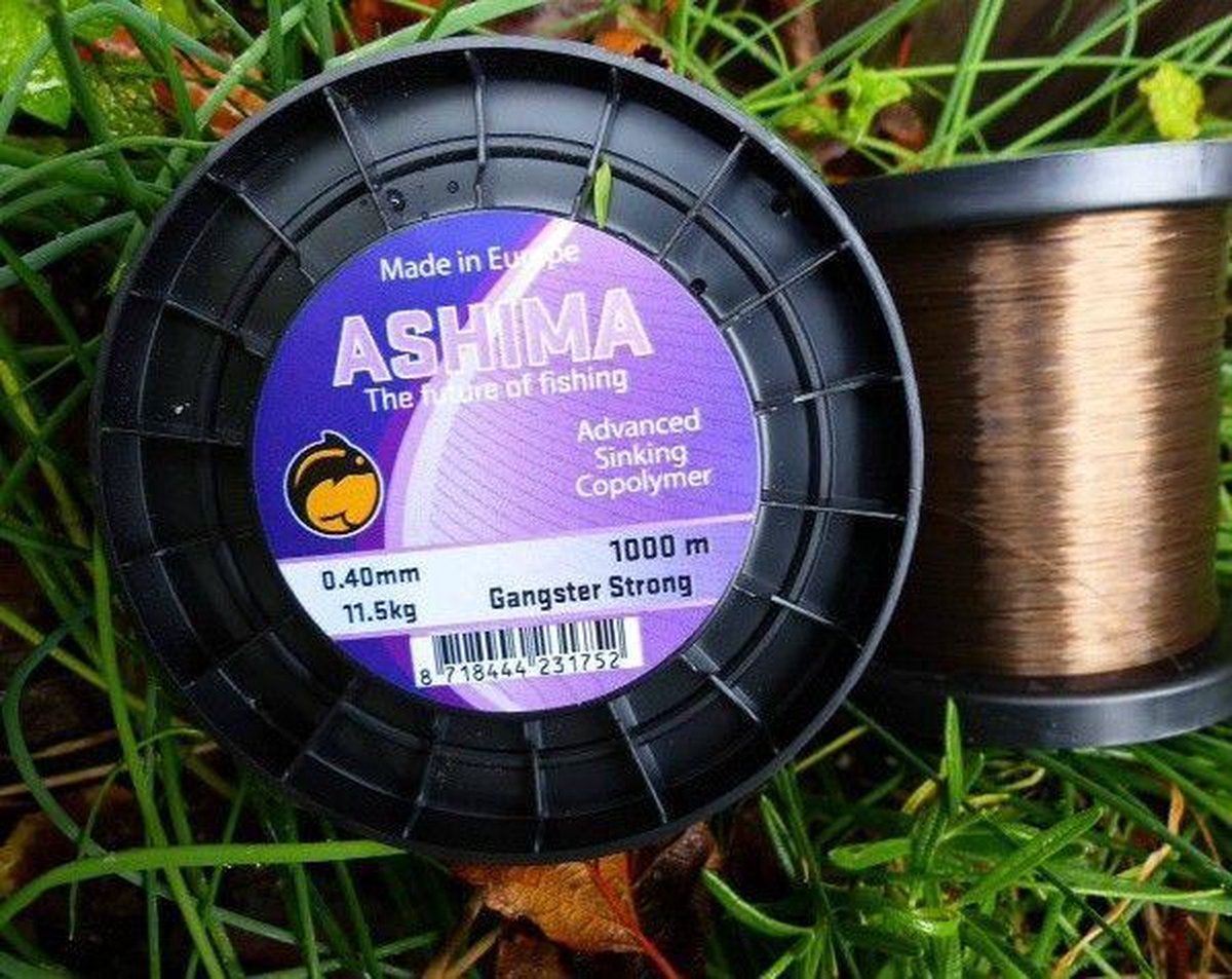 Ashima Gangster Strong Sinking | 1000m 0.40mm / 11.5kg Clear