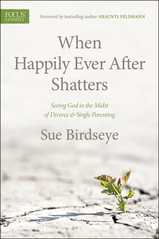 When Happily Ever After Shatters - cover