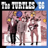Turtles 66