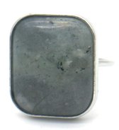 Ring met Grote Steen - Metaal - One Size - Zilverkleurig