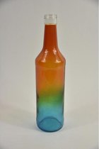 Glazen Vazen En Flessen - Glazen Fles Multikleur D7 H29cm