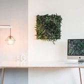 Stylegreen Verticale tuin - Jungle Design - 55 x 55cm