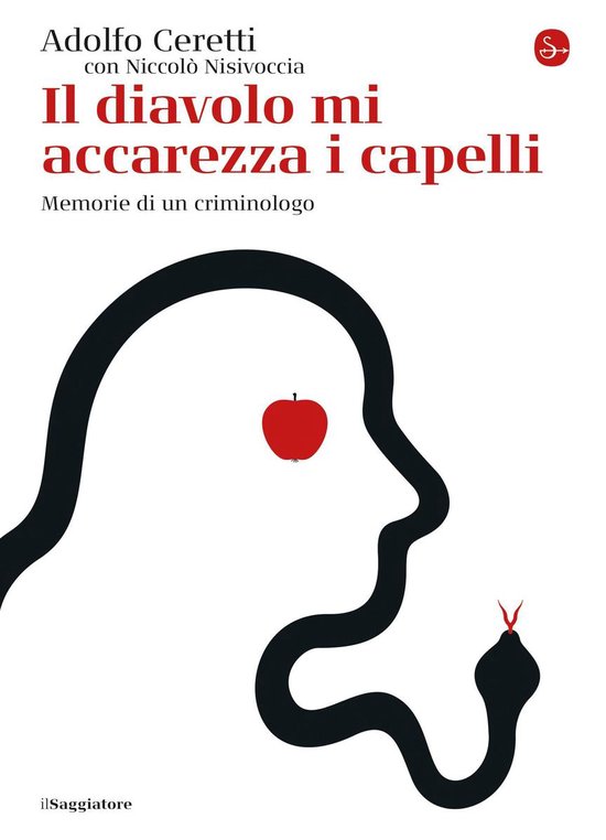 Il diavolo mi accarezza i capelli - cover