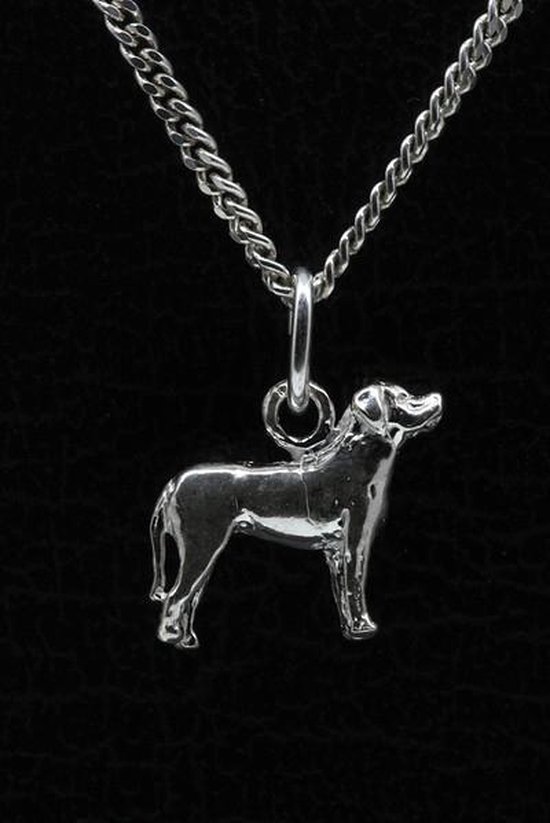 Collier pendentif chien de montagne suisse en argent - petit | bol