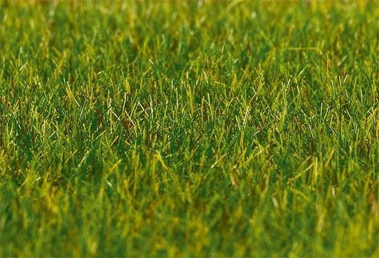 Noch 08371 strooisel materiaal lichtgroen 200g | STROOI MATERIAAL